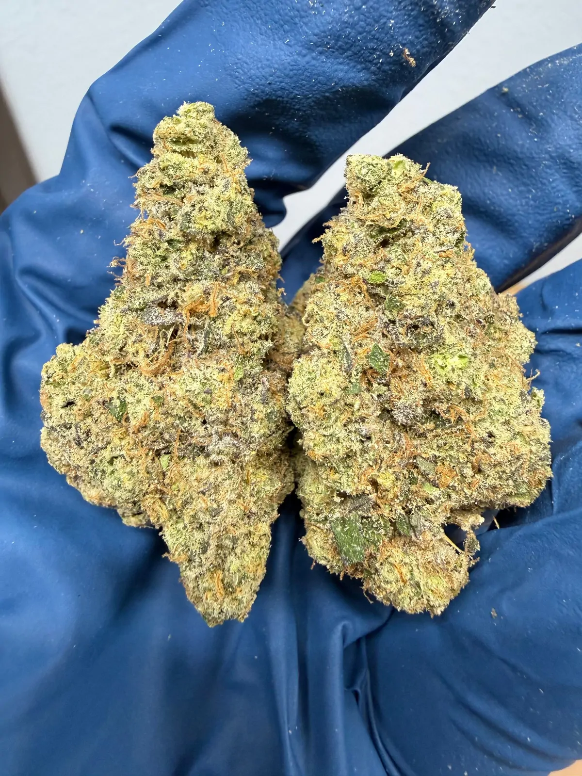 Lemon Cherry Pie Packaged Flower